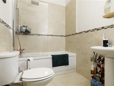 Picture 15